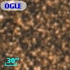 OGLE BWC   I  19699