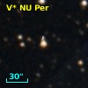V* NU Per