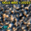 OGLE BWC   I  20223