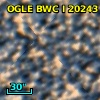 OGLE BWC   I  20243