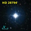 HD  28794