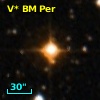 V* BM Per
