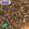 OGLE BWC   I  20605