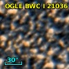 OGLE BWC   I  21036