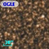 OGLE BWC   I  21202