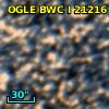OGLE BWC   I  21216