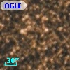 OGLE BWC   I  21408