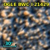 OGLE BWC   I  21429