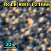 OGLE BWC   I  21666