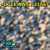 OGLE BWC   I  21667