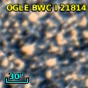 OGLE BWC   I  21814