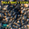 OGLE BWC   I  21836