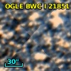 OGLE BWC   I  21851