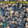 OGLE BWC   I  21854