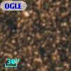OGLE BWC   I  21895