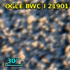 OGLE BWC   I  21901