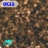 OGLE BWC   I  21955