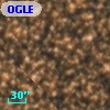 OGLE BWC   I  21963