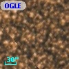 OGLE BWC   I  22071