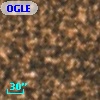 OGLE BWC   I  22101