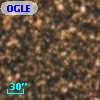 OGLE BWC   I  22206