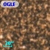 OGLE BWC   I  22229