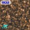 OGLE BWC   I  22319