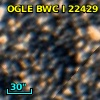 OGLE BWC   I  22429