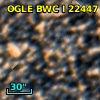 OGLE BWC   I  22447
