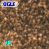 OGLE BWC   I  22828