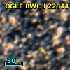 OGLE BWC   I  22844