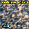OGLE BWC   I  22873