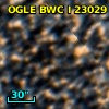 OGLE BWC   I  23029