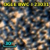 OGLE BWC   I  23031