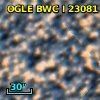 OGLE BWC   I  23081