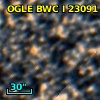 OGLE BWC   I  23091