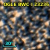 OGLE BWC   I  23236