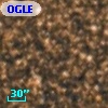 OGLE BWC   I  23309