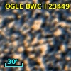 OGLE BWC   I  23449