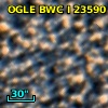 OGLE BWC   I  23590