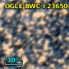 OGLE BWC   I  23650