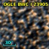 OGLE BWC   I  23905