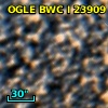 OGLE BWC   I  23909