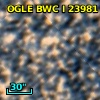 OGLE BWC   I  23981