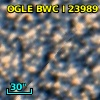 OGLE BWC   I  23989