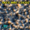 OGLE BWC   I  24202
