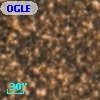 OGLE BWC   I  28006