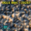 OGLE BWC   I  28247