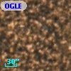 OGLE BWC   I  28541