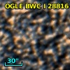 OGLE BWC   I  28816